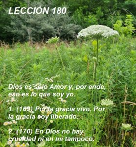 Lección 180 Ucdm Flores y follaje verde