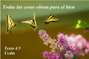 4.V La ilusión del ego-cuerpo-ucdm-mariposas amarillas