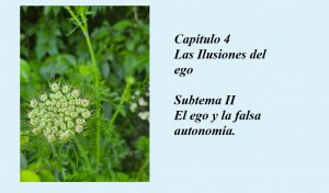 4.II El ego y la falsa autonomía ucdm- flor con petalos blancos en follaje verde