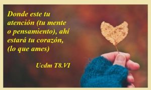 foto un corazon con los dedos