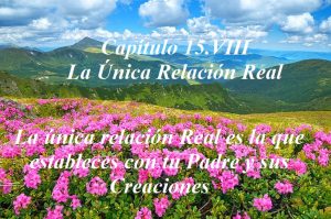 Capítulo 15.VIII La única relación real - ucdm - flores rosas flores-montañas quietud