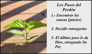 Psicoterapia los pasos del Perdón ucdm