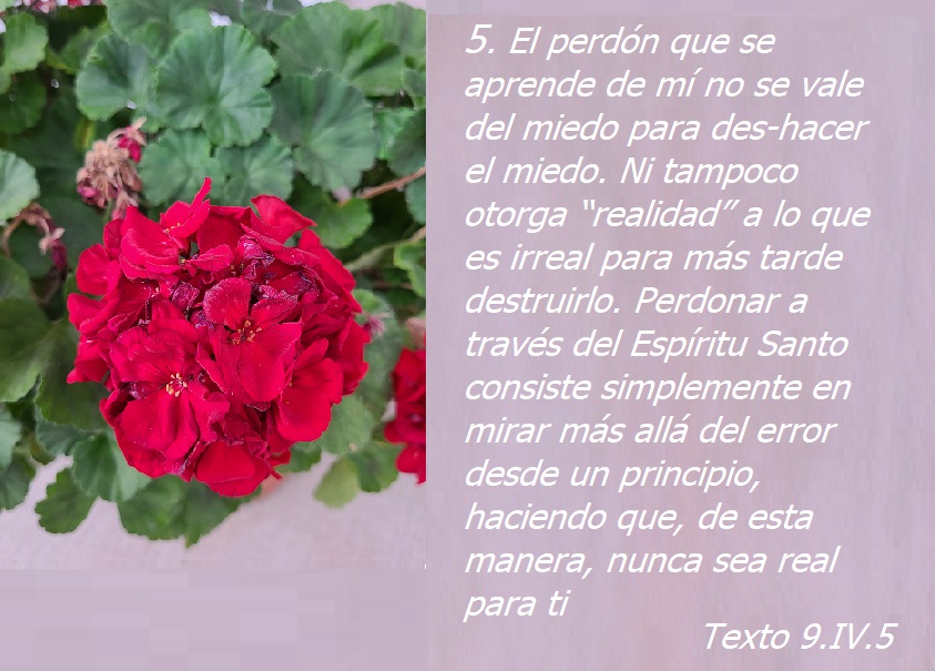 9.IV El plan del Espiritu santo ucdm-flores rojas fondo rosa