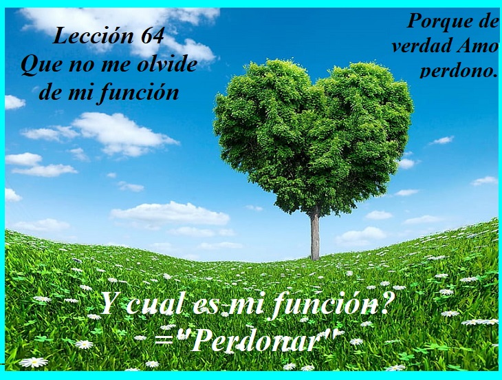 Un arbol de corazón nos recuerda nuestra funcion perdonar