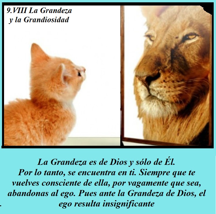 9.VIII La grandeza y la Grandiosidad El gato espejo y leon